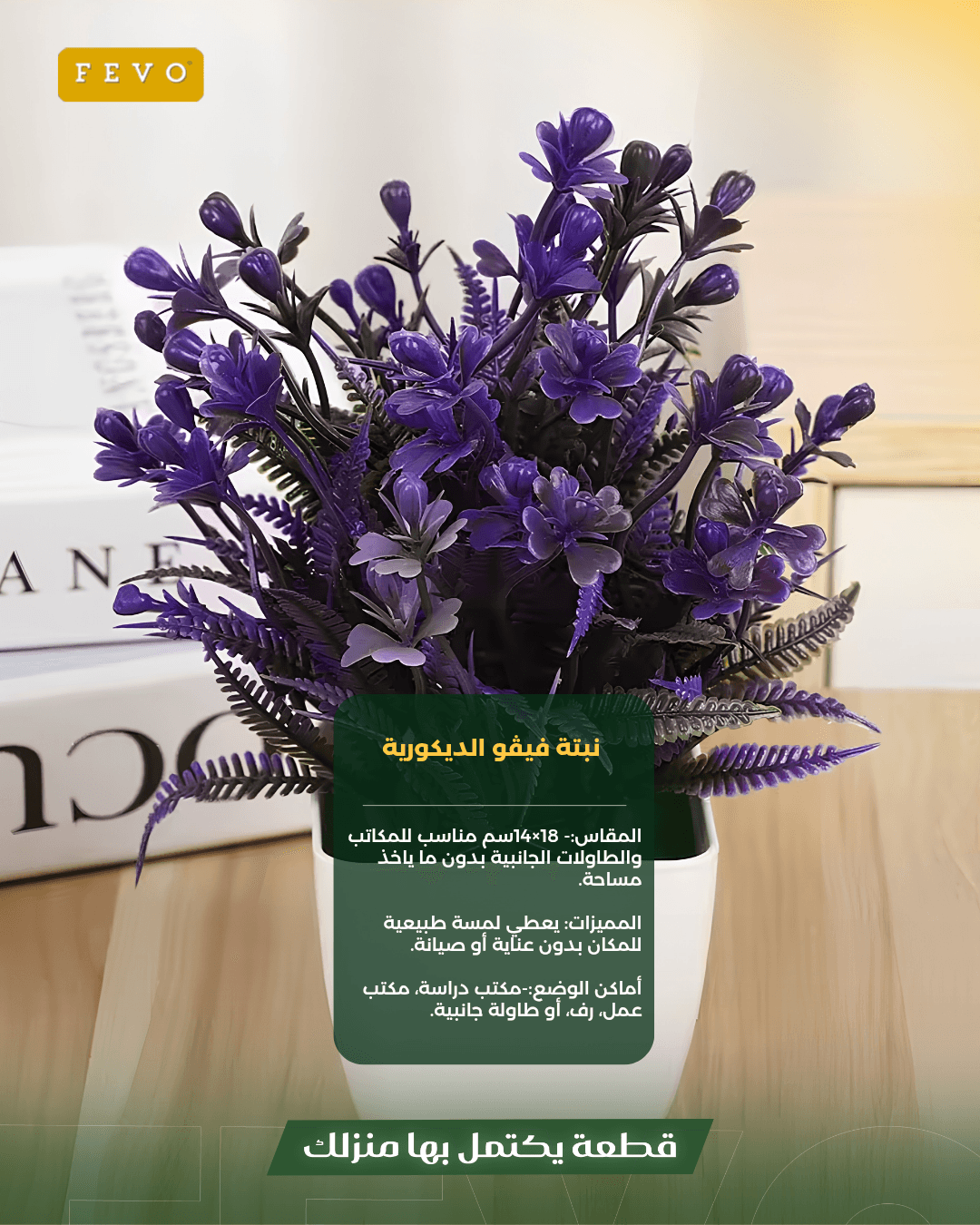 نبتة فيڤو الديكورية